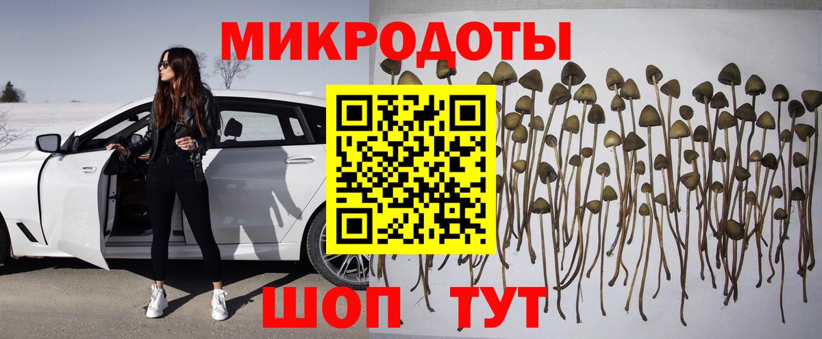 Псилоцибиновые грибы Magic Shrooms  где купить   Вход с VPN  Городец  Галлюциногенные грибы ЛСД 
